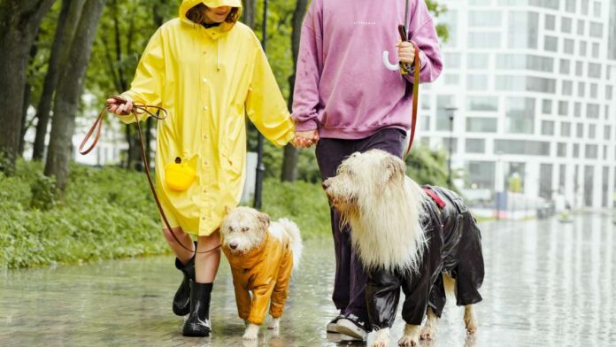 Things to do on a rainy day